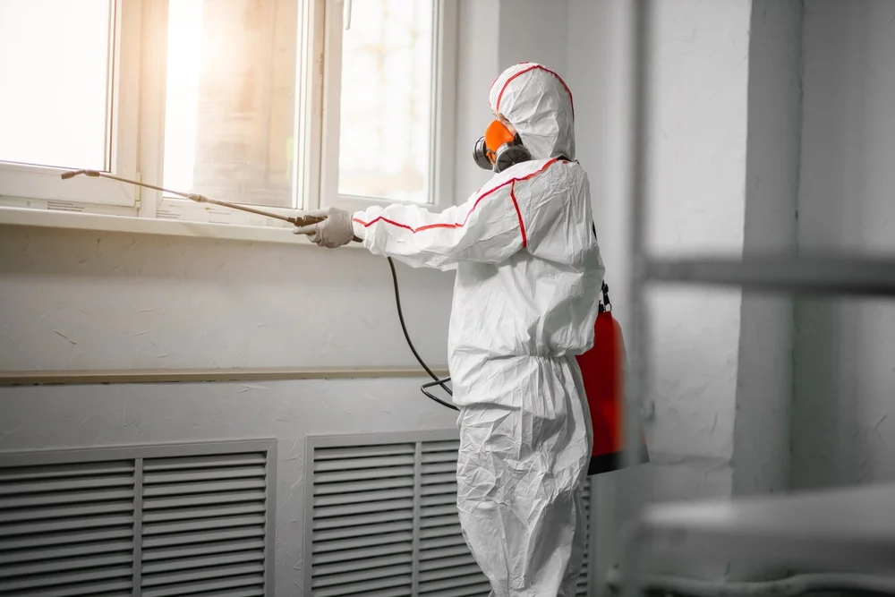 Professional mold remediation services in Eaton Center, NH